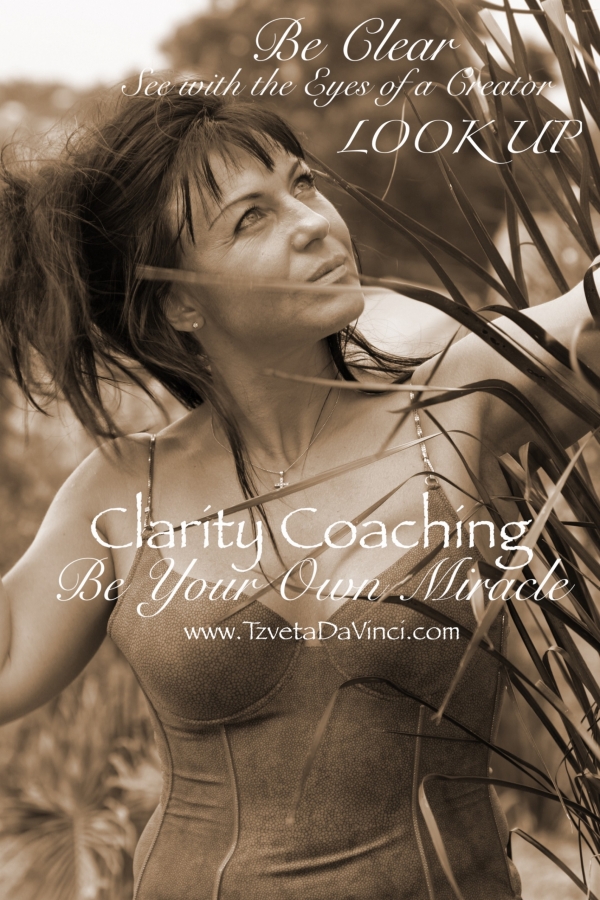 Clarity Coaching Transformation session